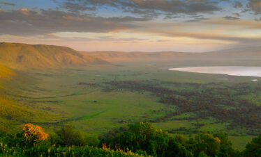Day Trip Safari to Ngorongoro Conservation Area