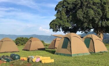 4-Days Budget Tanzania Safari – Tarangire & Ngorongoro